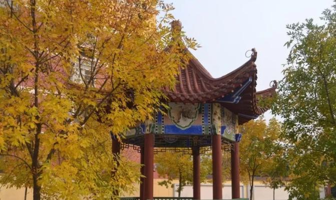 单县一中在菏泽市高中的排名,山东菏泽单县一中排名