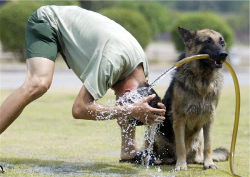 冷水洗头需警惕,冷水洗头后头晕怎么解决