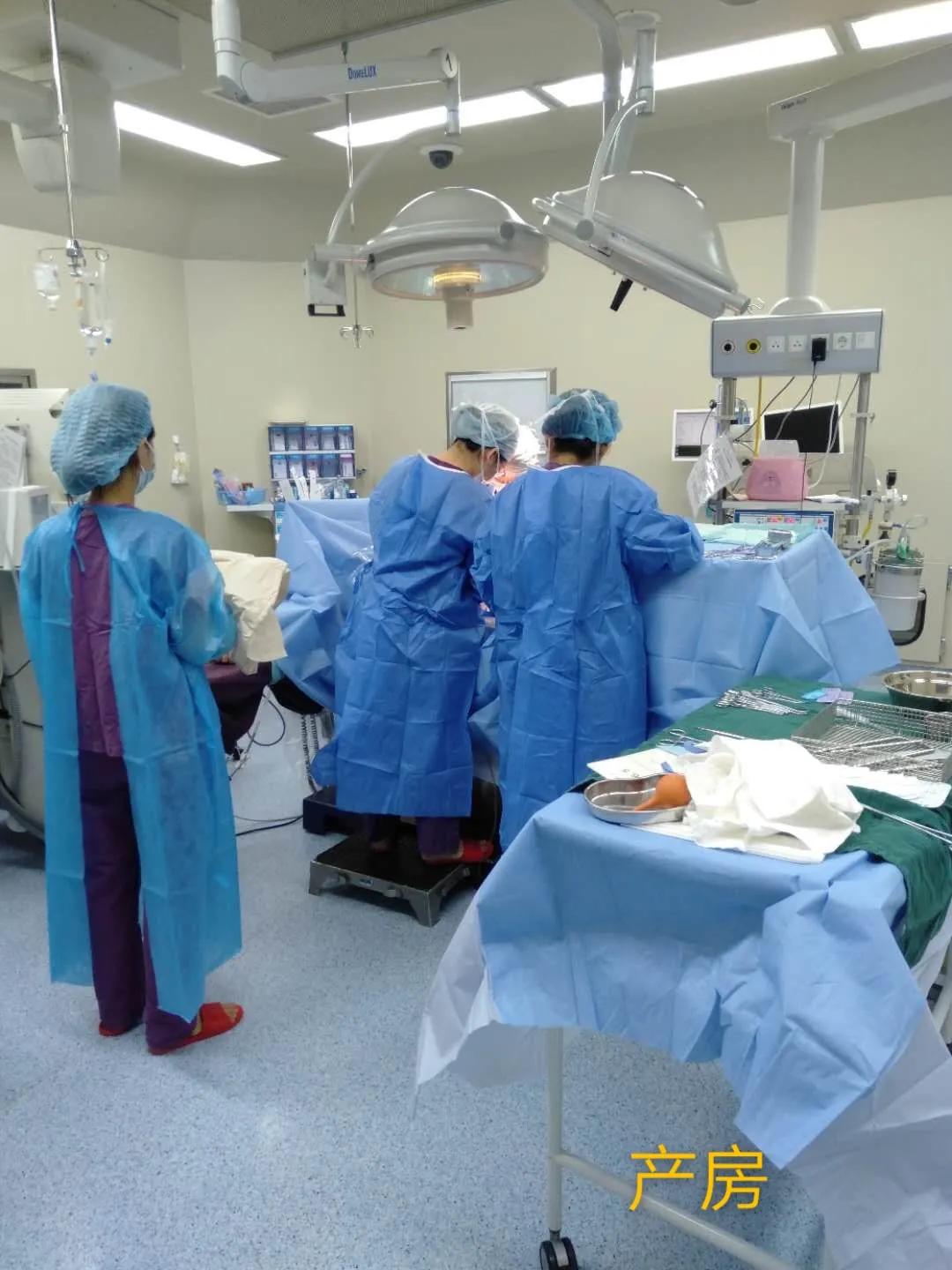 生命的坚守视频,生命的坚守