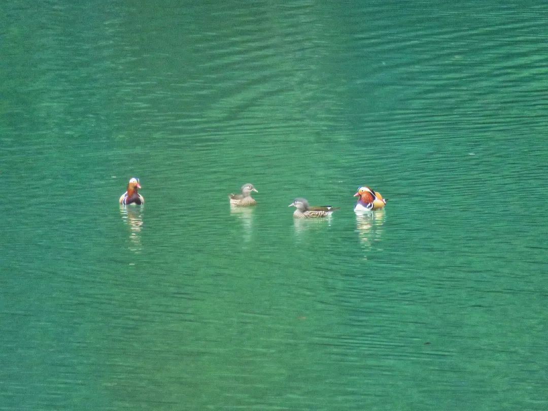 贵州隐藏仙境,贵州十大神秘小城