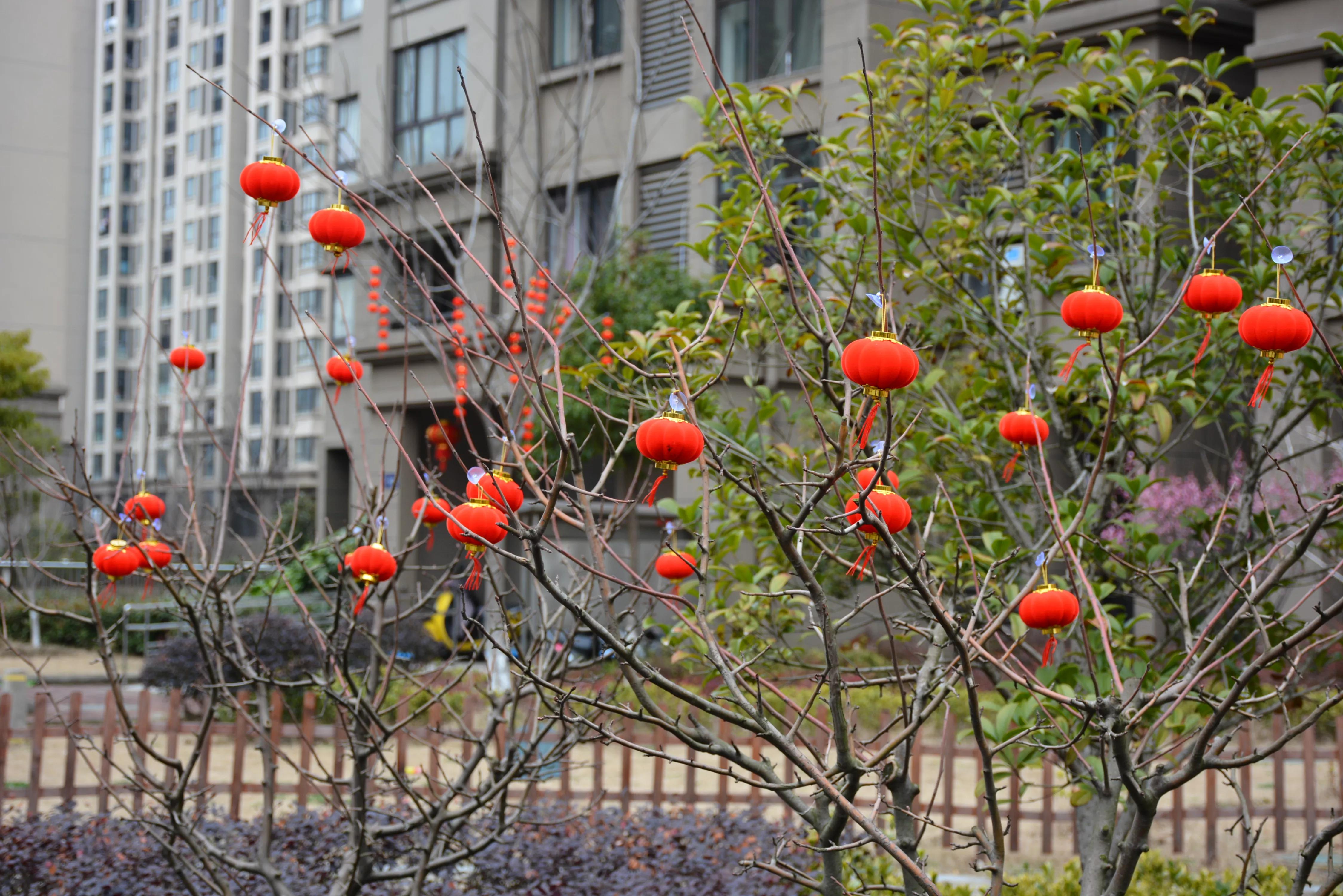 能坚持四季如春就好了（湖畔雅居的春天）