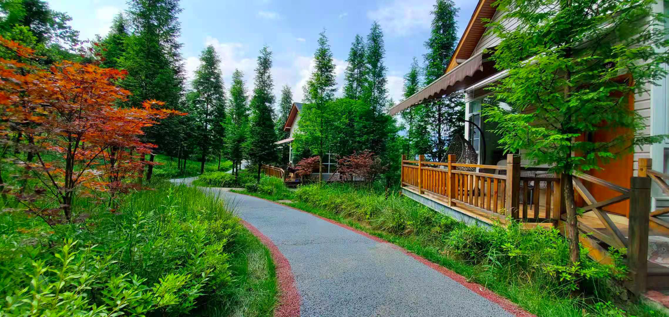 成都周边适合周末露营的地方,成都免费露营生火过夜地点推荐