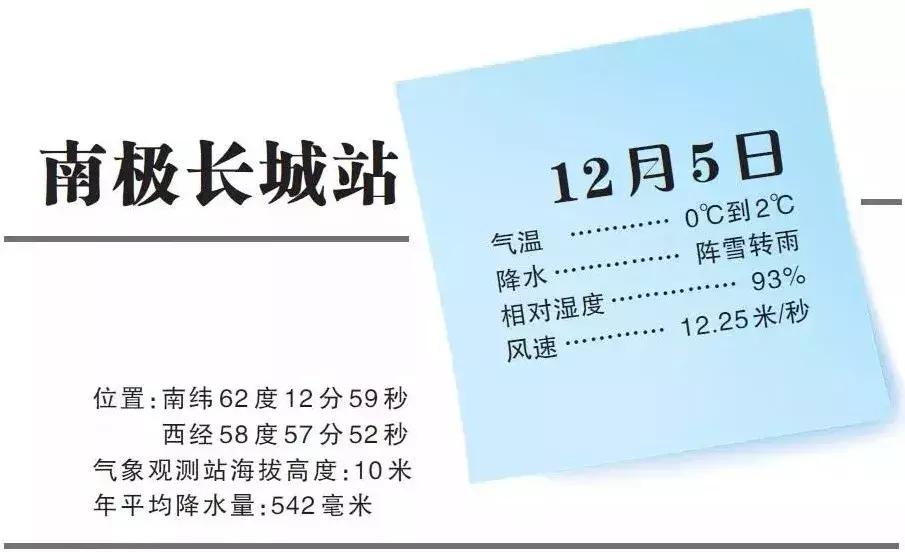 极寒南极企鹅生存,南极科考人员偶遇企鹅