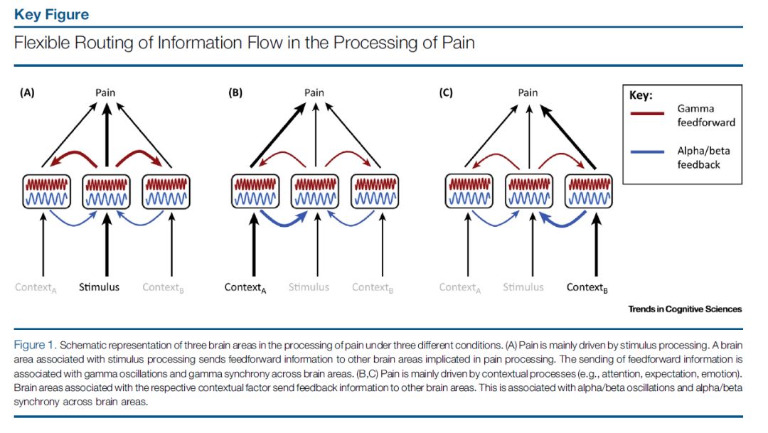 脉象生动讲解,关于疼痛的问诊对话