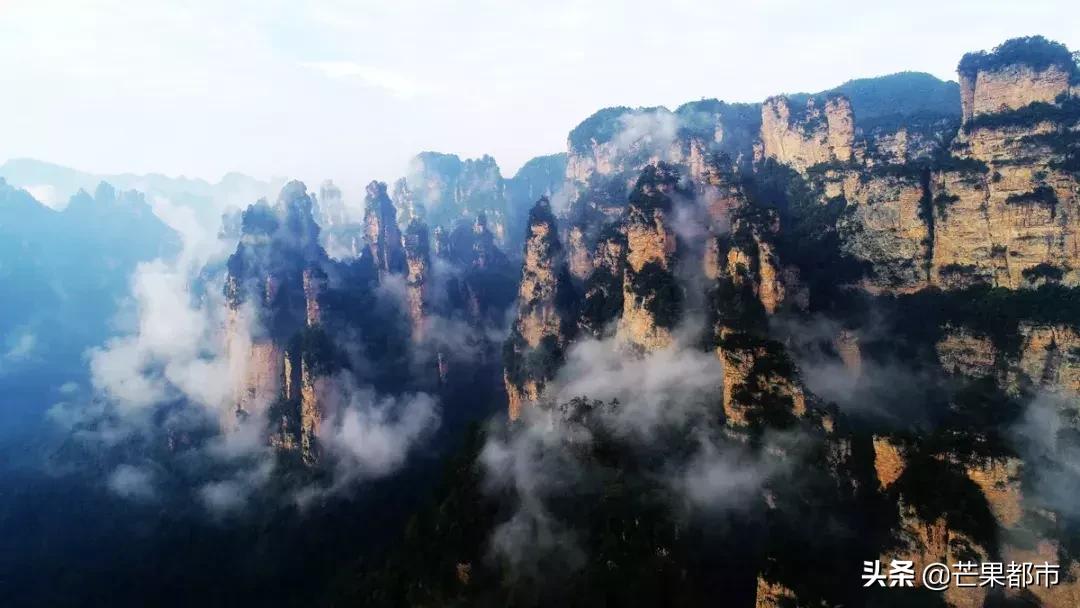 990米峡谷险峰翼装飞行、世界级大咖齐聚桥牌公开赛…湖南都市现场直播