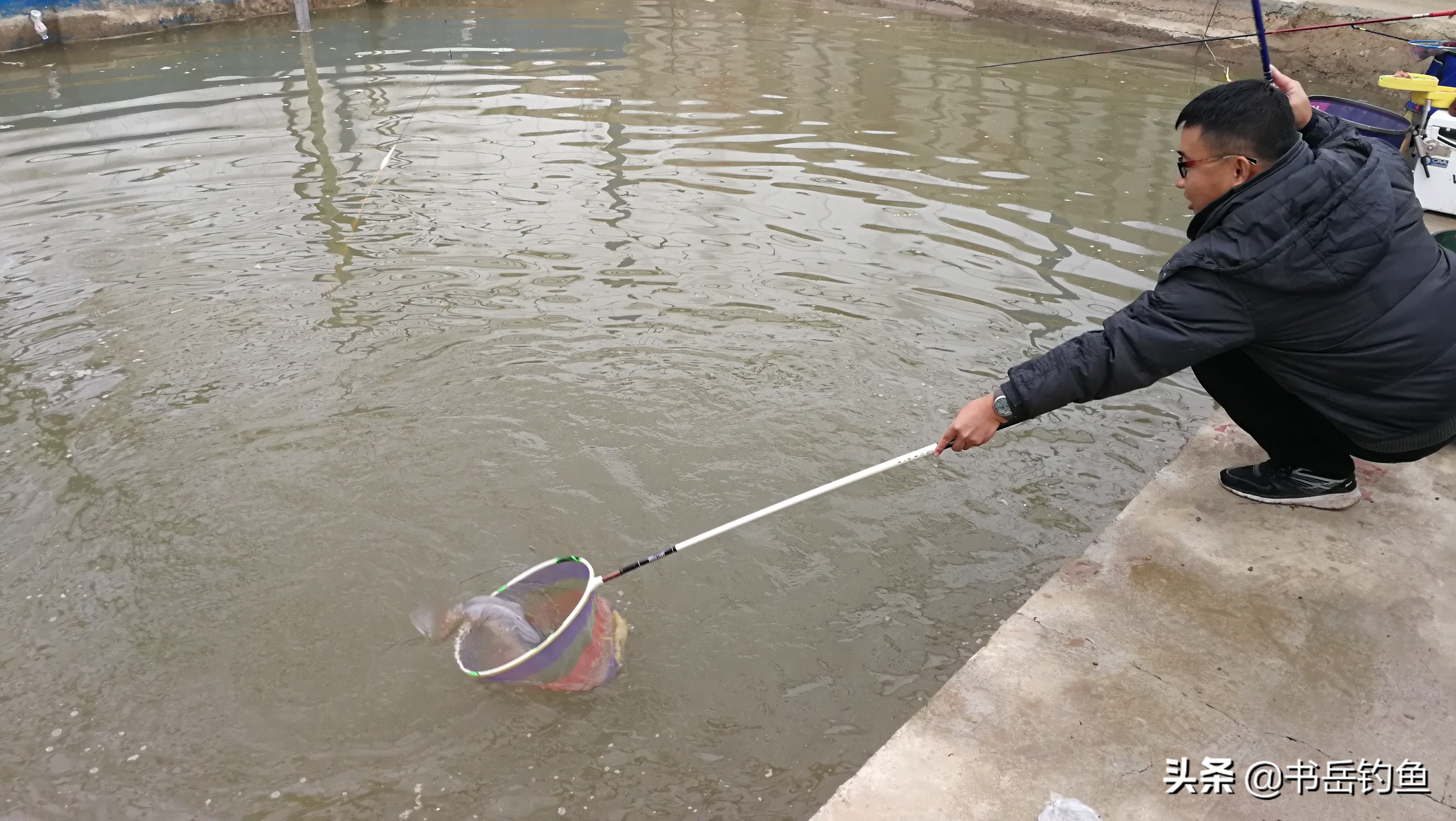 黑坑的鱼都怎么处理,黑坑鱼病防治