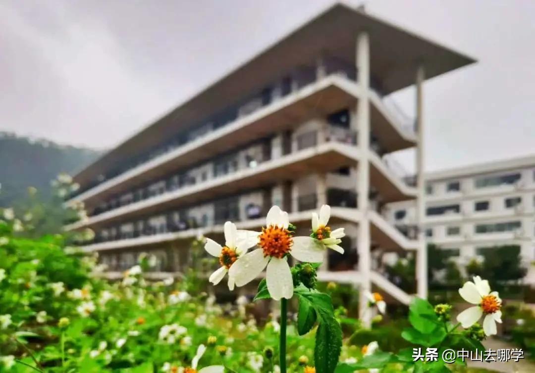 中山市中等专业学校探访,探校怎么走进学校