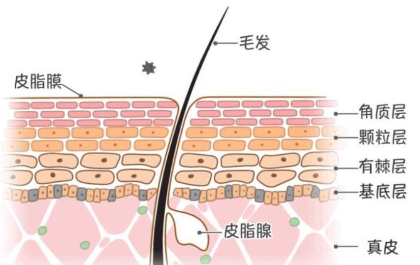 男士保湿控油产品简单好用,男士控油保湿留香平价推荐