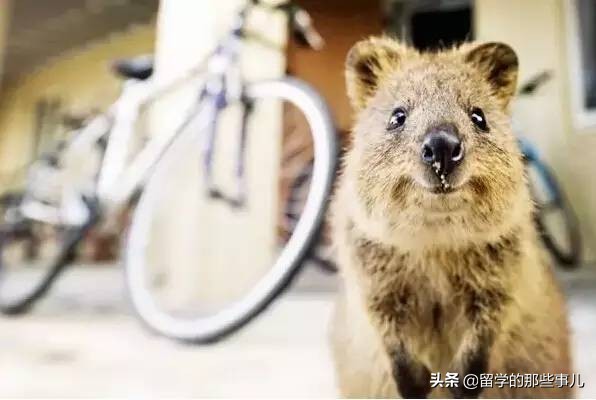 澳大利亚有哪些旅游胜地,澳大利亚有什么好玩的免费景点