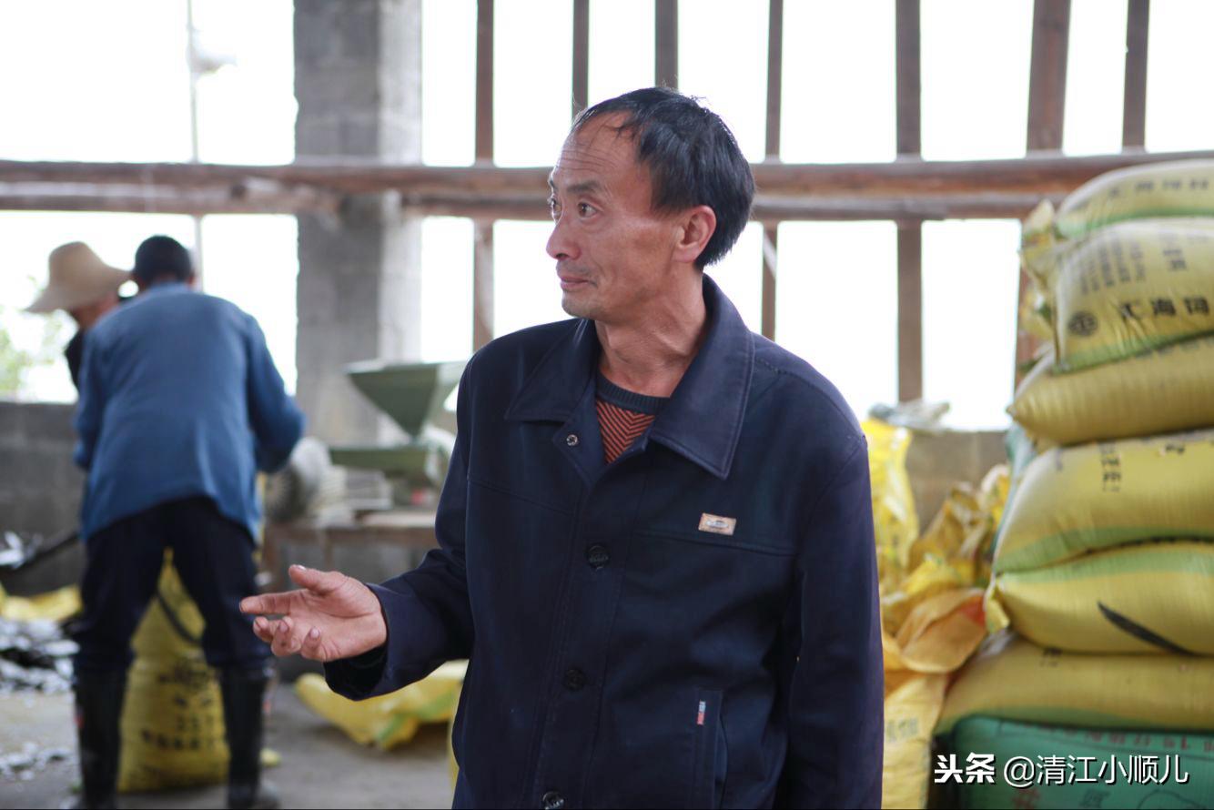 农村大哥爱的奉献,返乡小伙承包土地大面积种植油菜