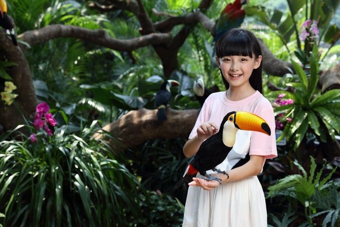 长隆飞鸟乐园湿地精灵,长隆飞鸟公园一日游攻略