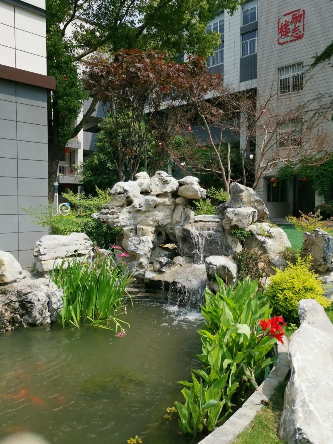 最美的风景美丽的校园,最美的风景就是校园