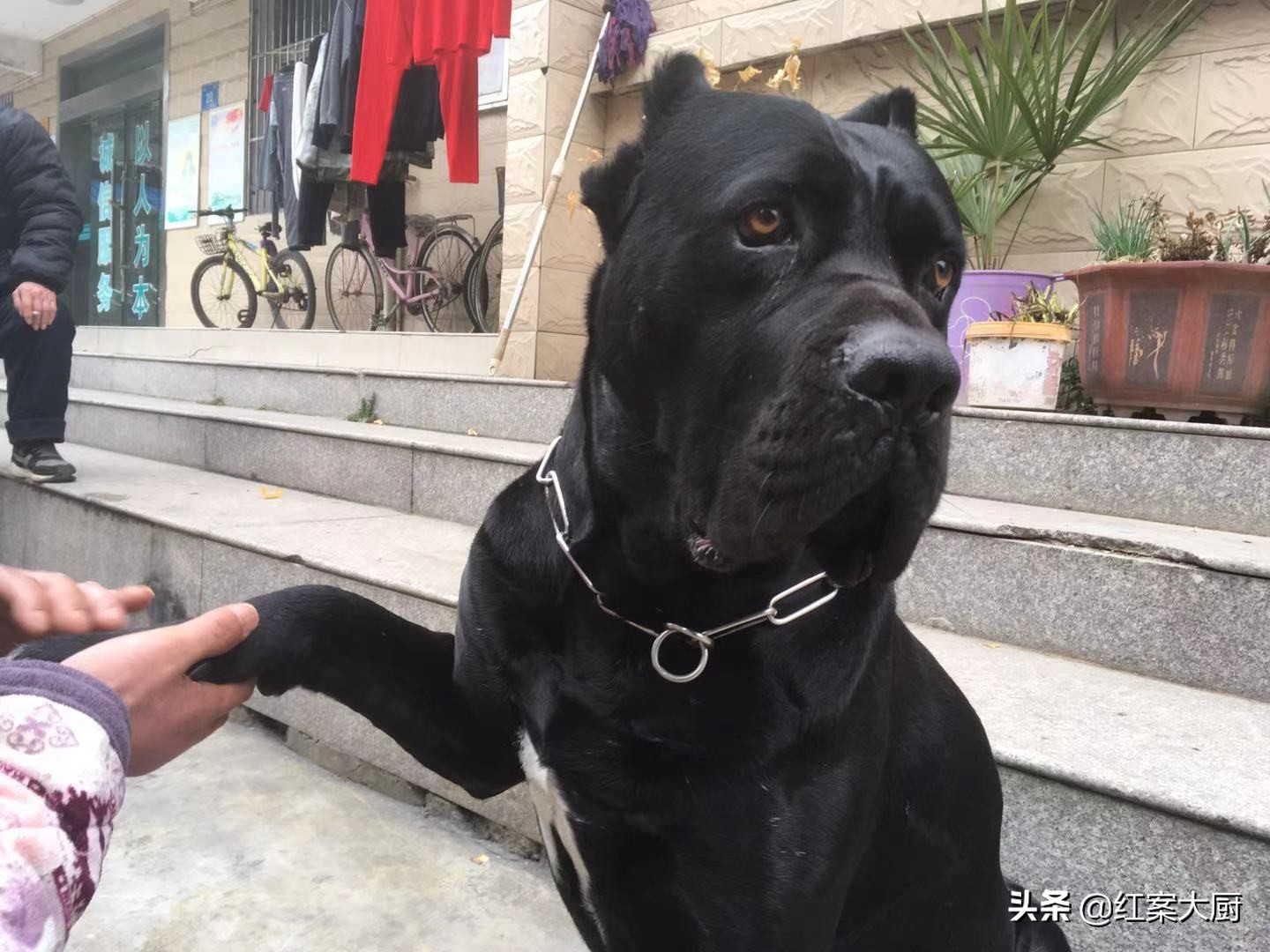 丹徒宝堰老街,丹徒老街老照片