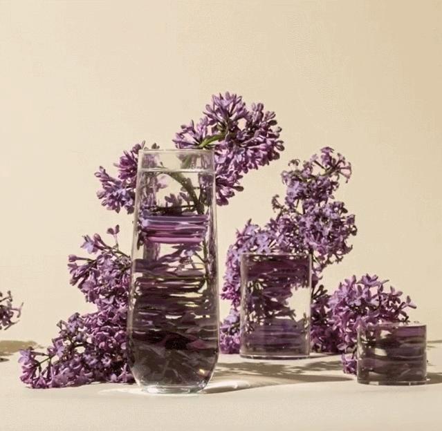 宅宅的风格拍照,绝美宅家拍照教程秒get氛围感照片