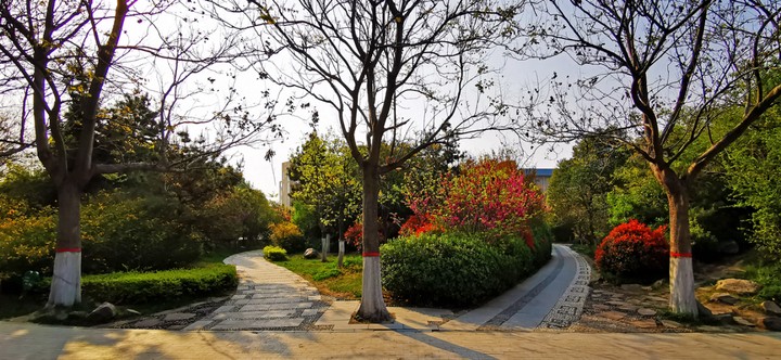 三门峡市职业学院环境咋样,三门峡职业技术学院真实环境