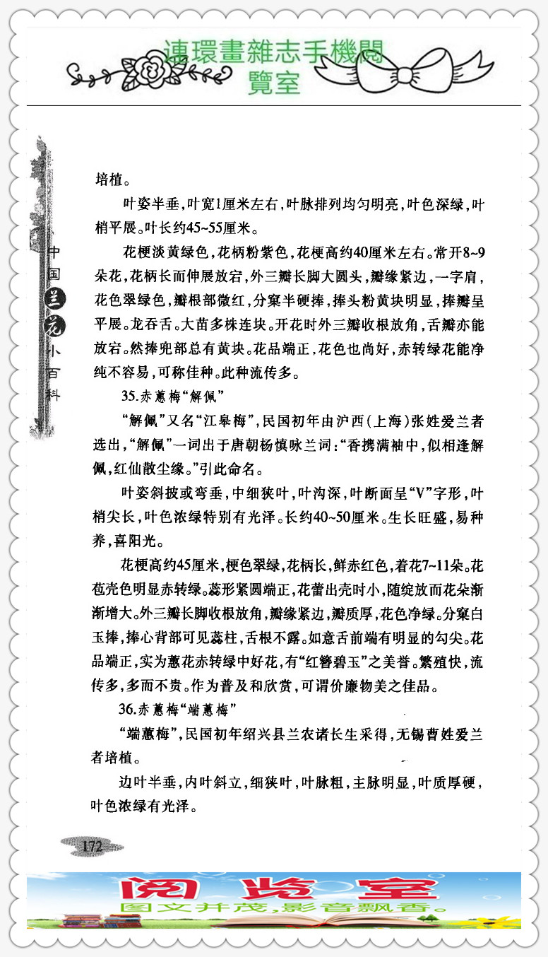 中国兰花的品种图片,中国兰花小百科书籍有哪些