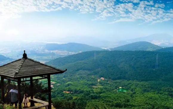 第七届世界军人运动会武汉武警,第七届军人运动会在武汉举办