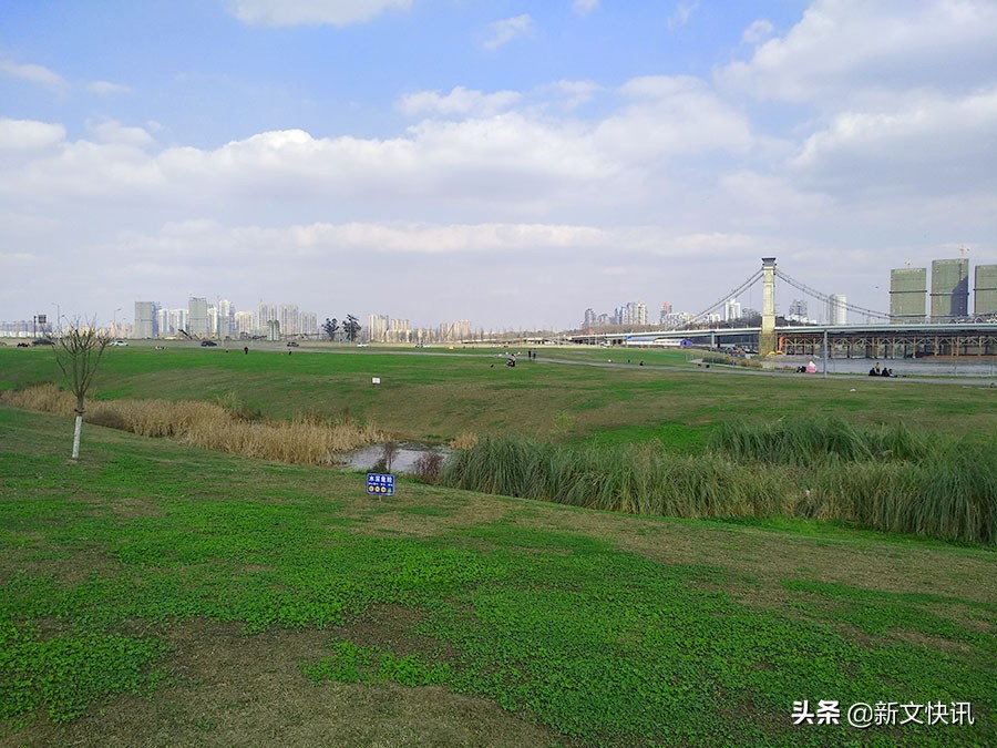 成都世警会赛事时间,2019年成都世警会