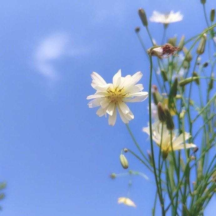 做人要圆做事要方,做人要方做事要圆