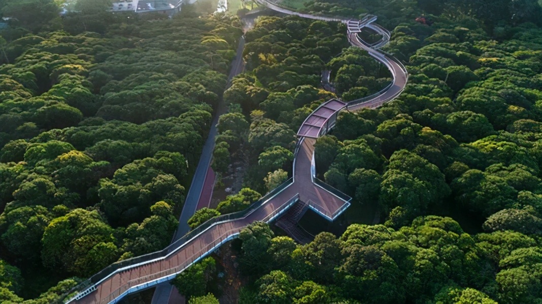 深圳免门票景点推荐,深圳市内近20个景点一票通玩