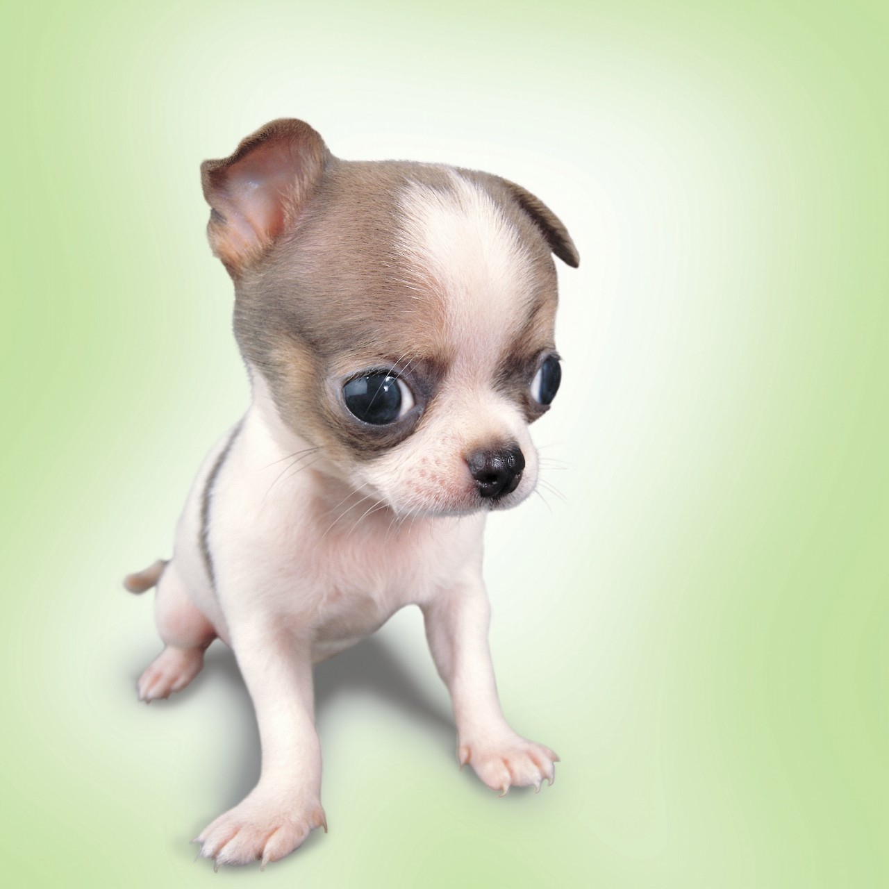 大连新闻今日要闻,大连新闻2017年9月5号