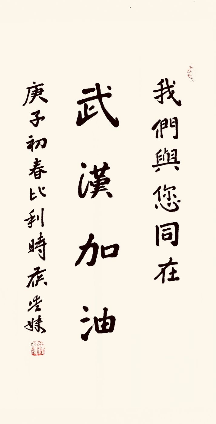 37位名家长江书法展,书法楷书武汉加油中国加油