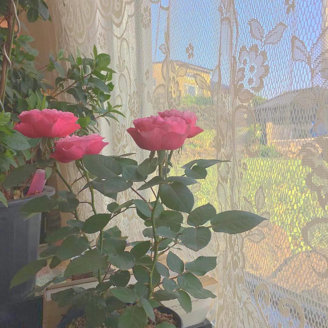 初恋暗恋文案,暗恋文案图片