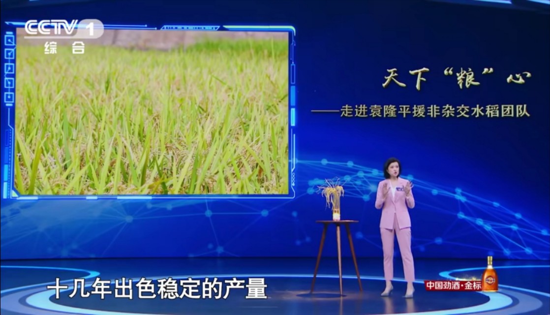 2018主持人大赛刘妙然,刘妙然主持人大赛拿了第几名