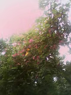 手机免费修复老照片软件,老照片扫描到手机