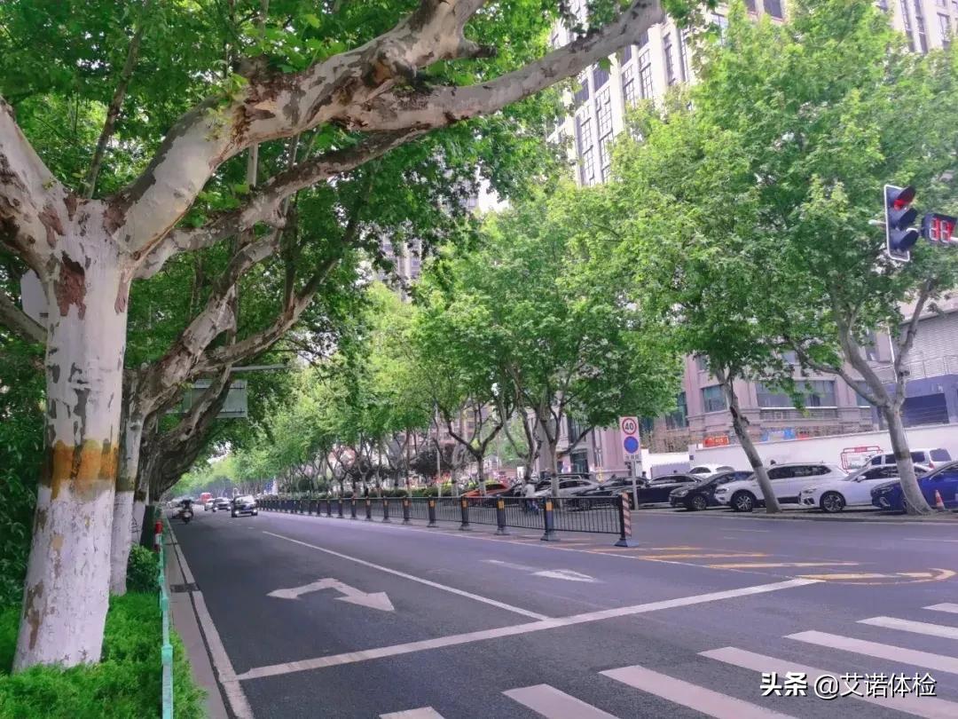 住在明光路的合肥人,太太太幸福了