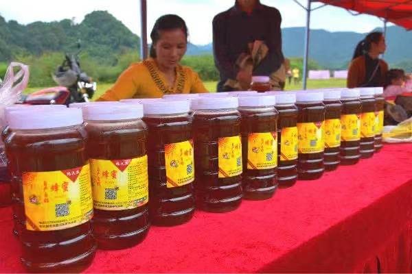 韶关善美直播,善美韶关现场直播活动