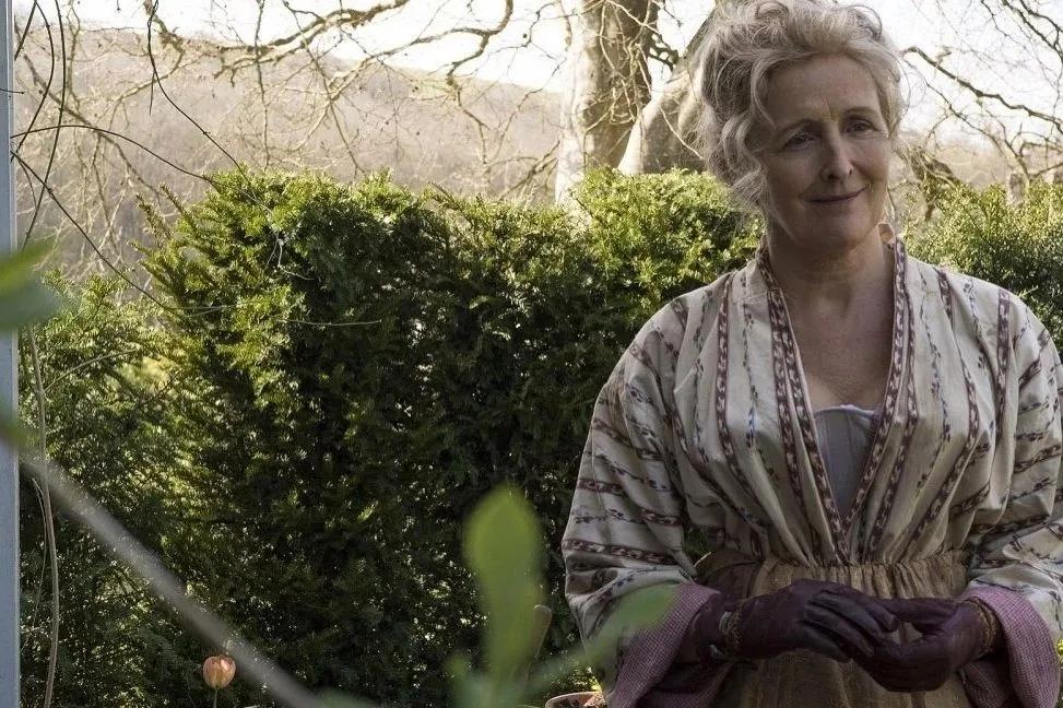 《菊石》的后劲：沉浸体验式的阅片过程，前所未有