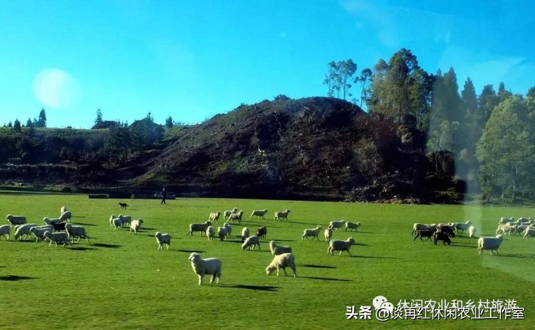 旅居新西兰,旅居新西兰有什么条件