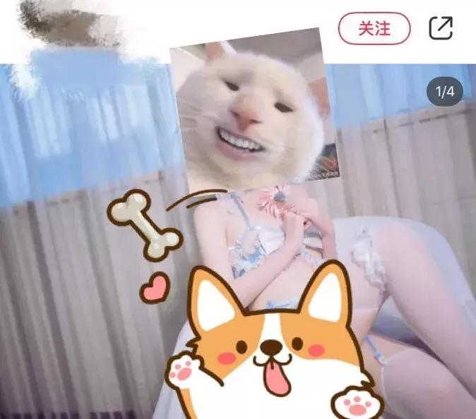 小红书被判违规后影响流量吗,小红书被通知涉嫌侵权