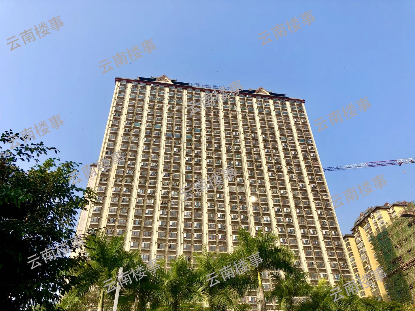 西双版纳二手房亏本急售,西双版纳二手房降价了吗