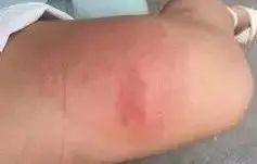 大水蚁进屋能活多久,大水蚁入侵房子