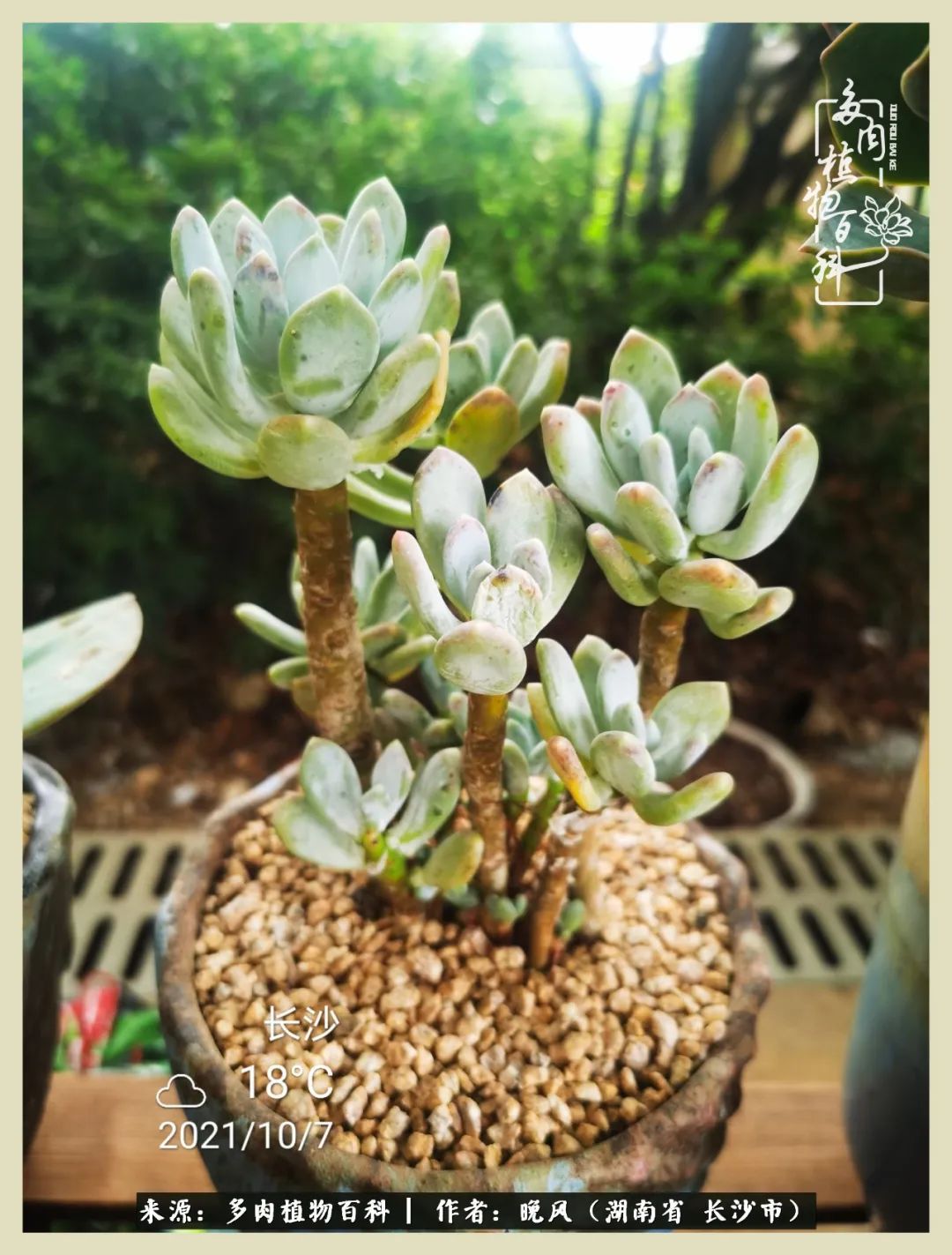 摇身一变成了奶爸,摇身一变成为打工人