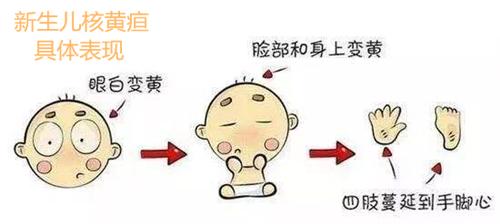 智力低下有哪些原因造成的,智力低下的根本原因