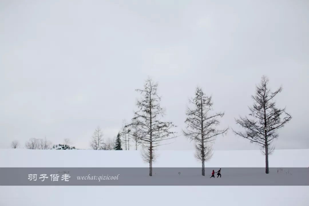 日本10天自由行费用北海道,东京北海道5日自由行攻略