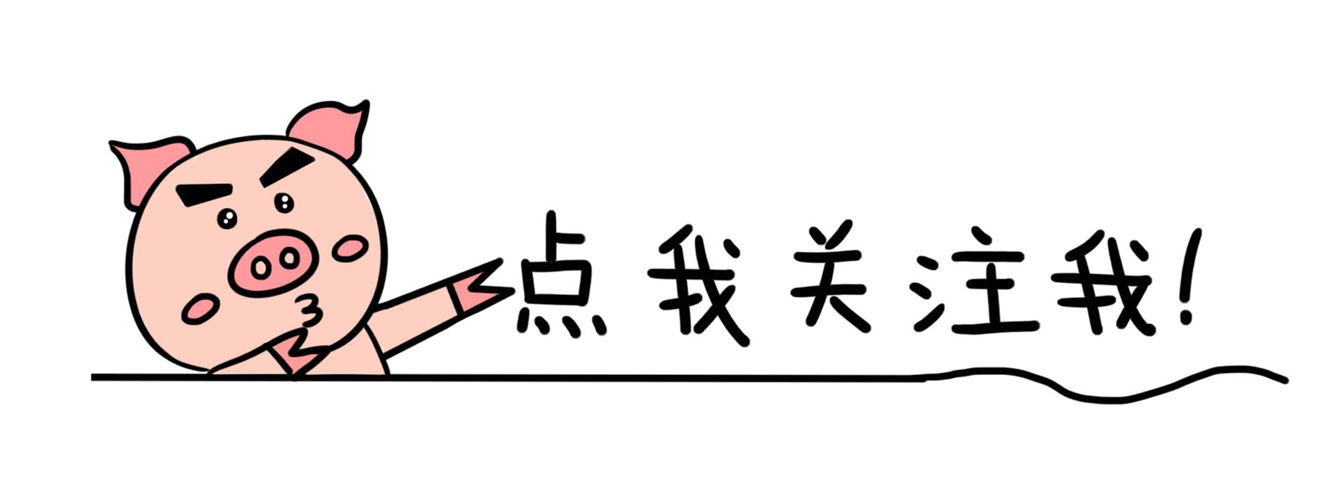 秋冬必备打底衫,温暖时髦又文艺,成为gai上最靓的女仔