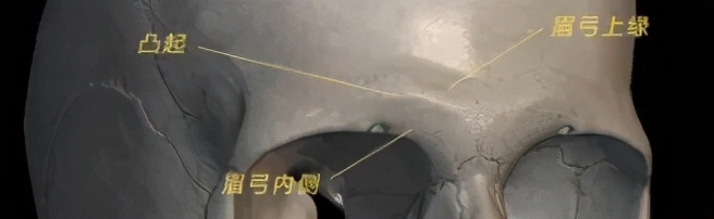 怎么样辨别自己有混血基因,混血面部分析