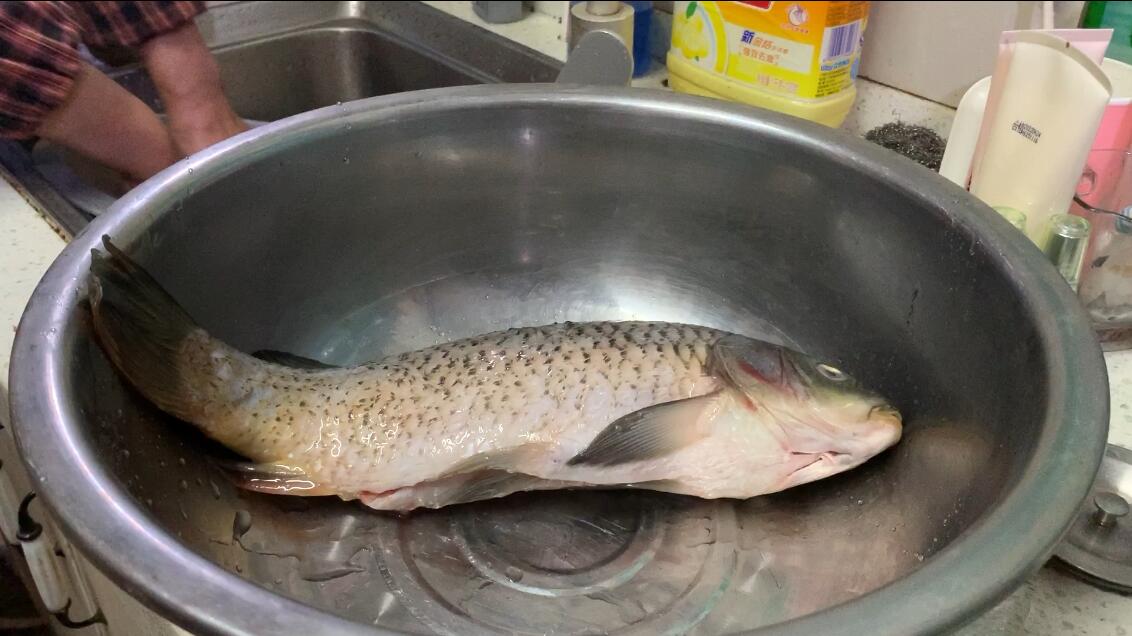 油炸鱼的正确炖法,清炖鱼先炸后炖