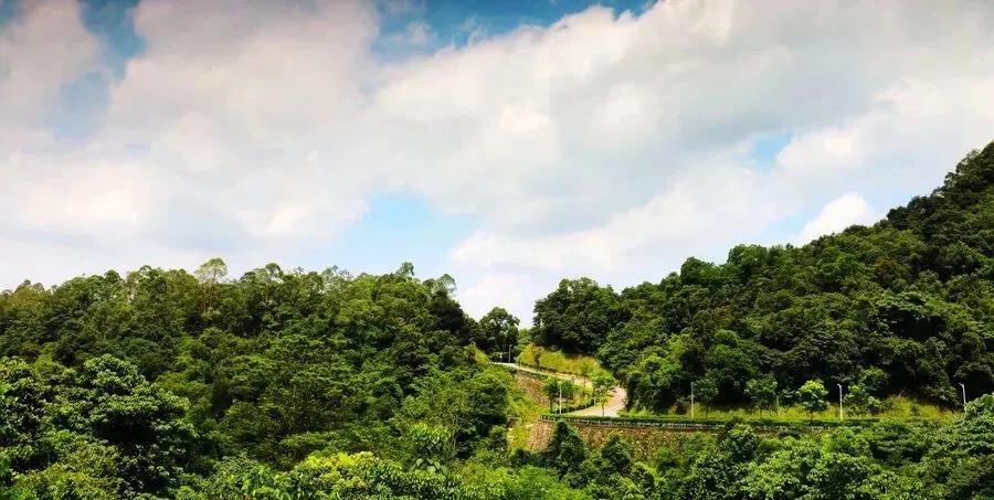 天河星作二手房出售,天河星作楼盘