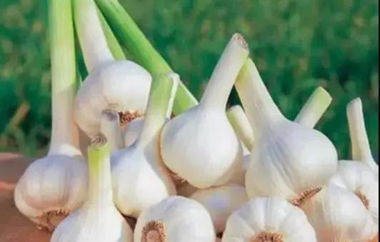 「第17期」莲都电商近期回顾