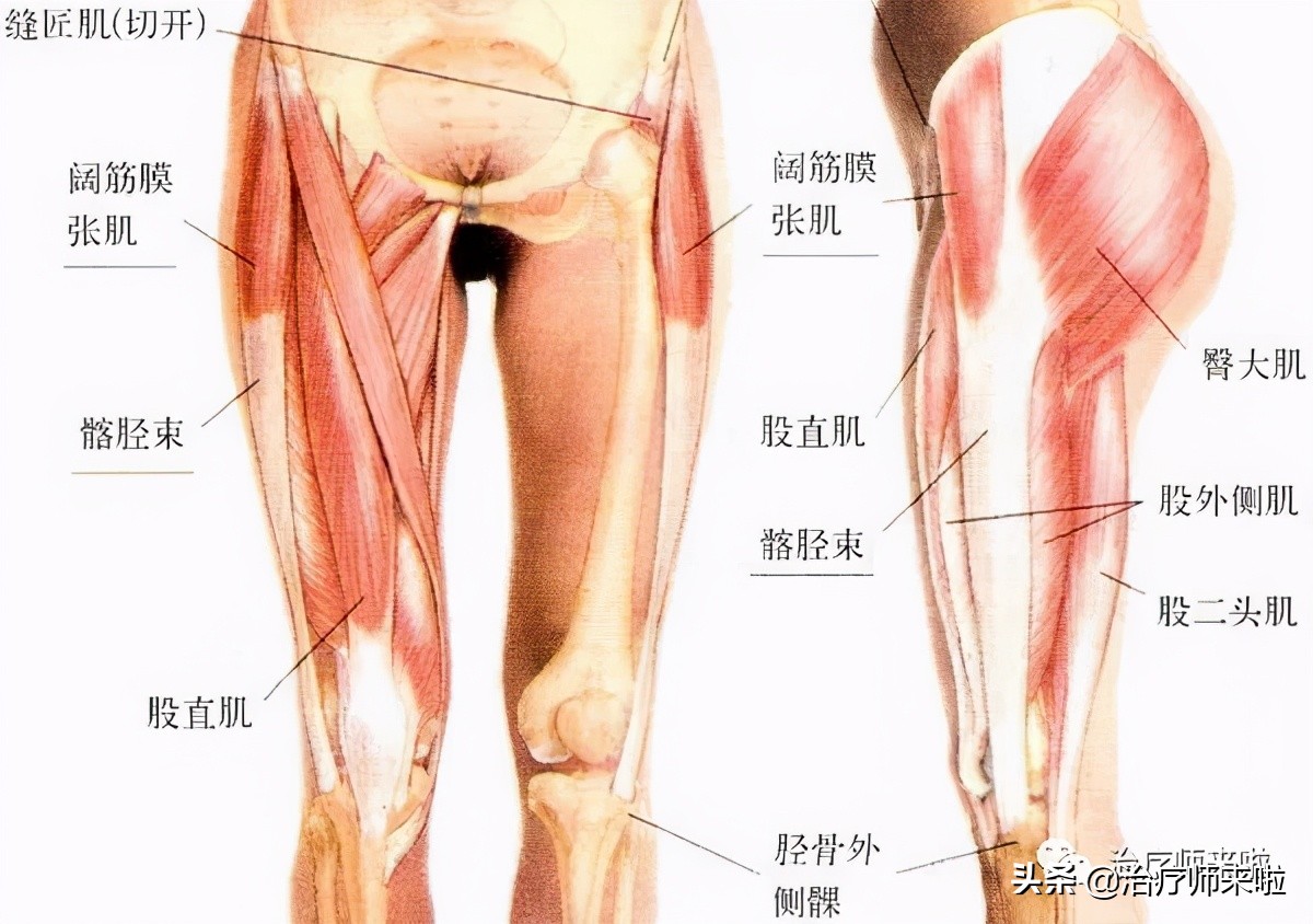 怎么让腿型改正,怎样使腿型变直
