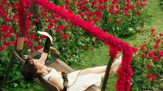 终极海报电影喜宝 (电影喜宝有哪些槽点)