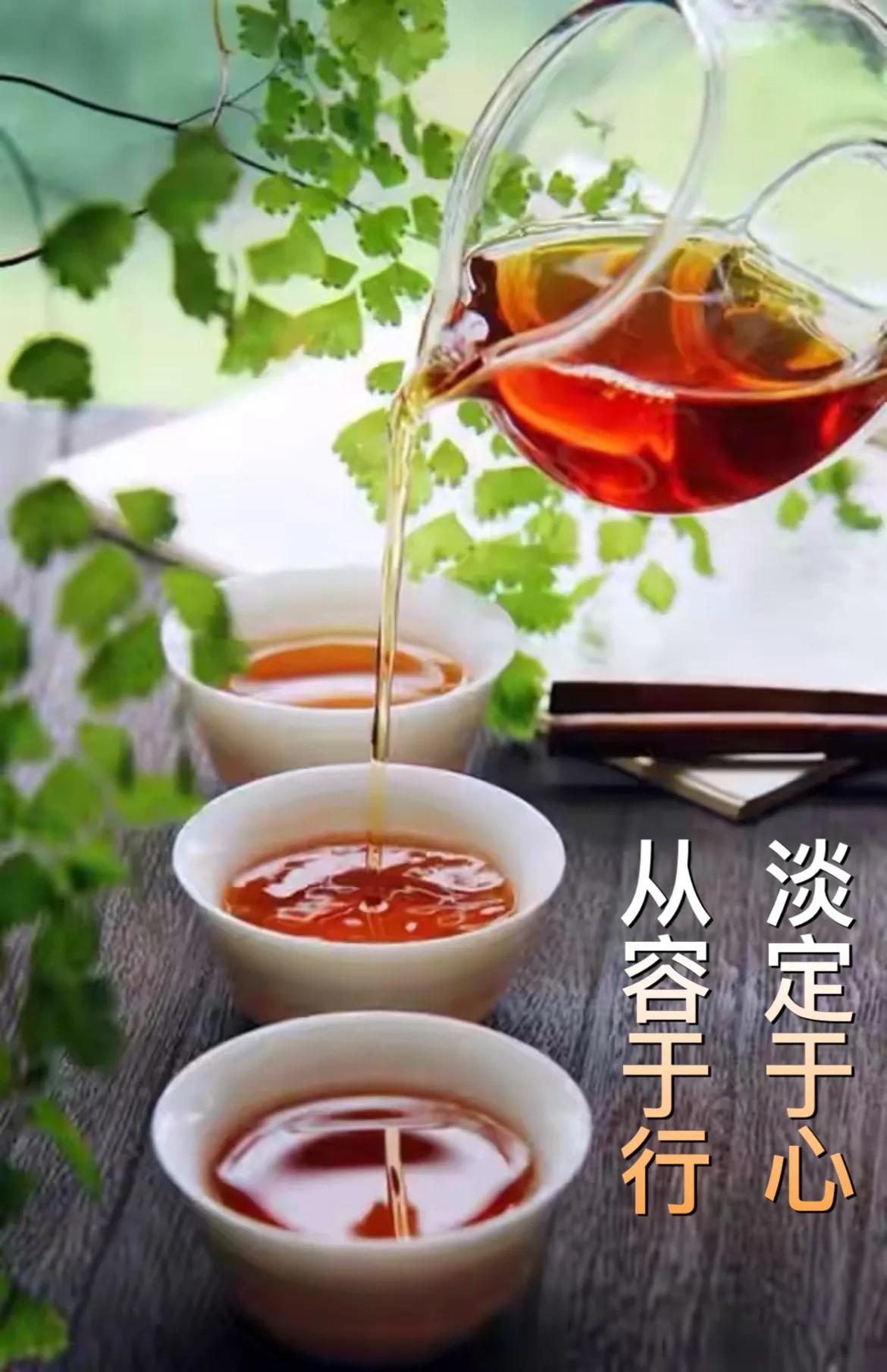 把酒祝东风且共从容,把酒祝东风且共从容完整版