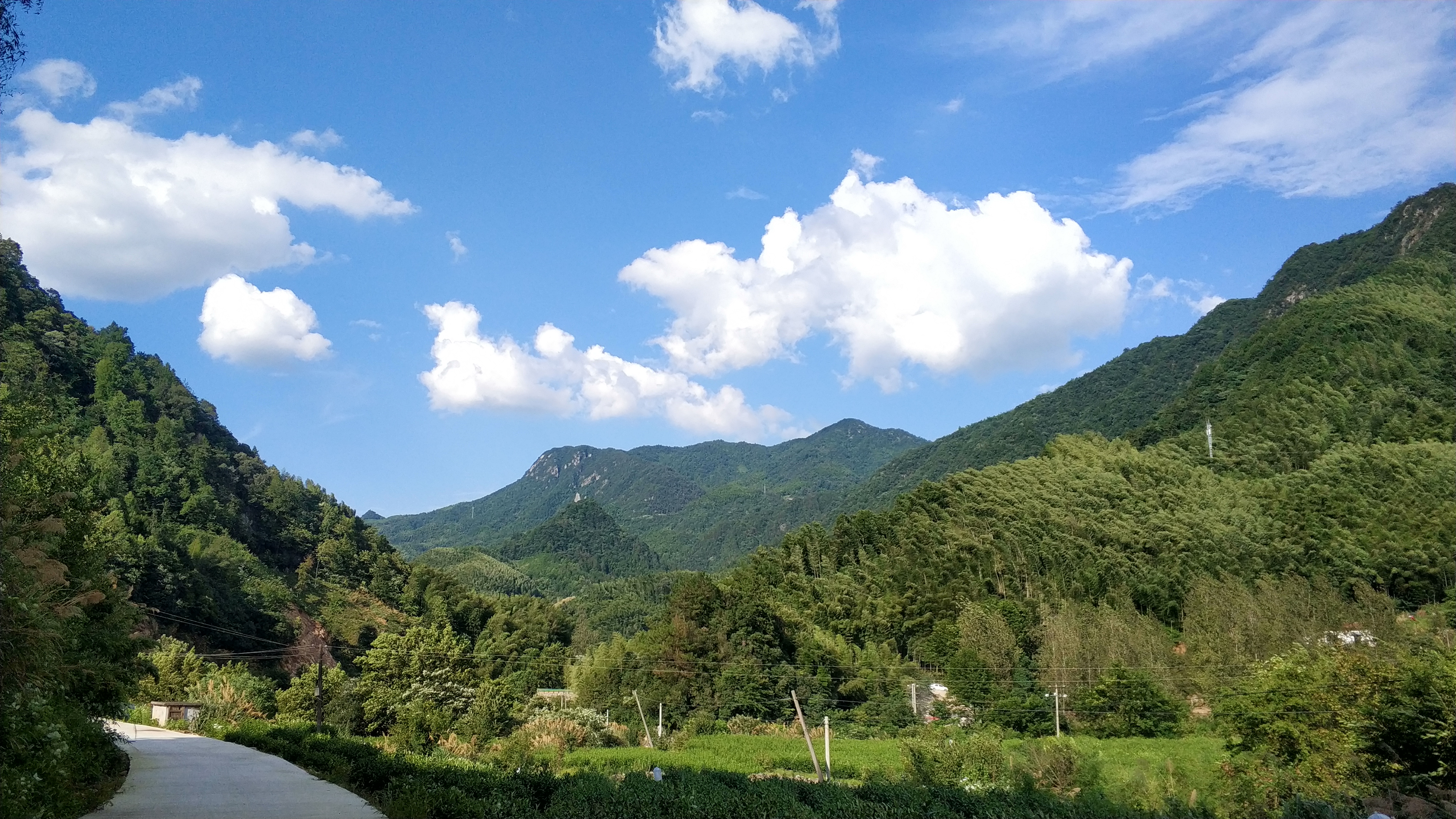 给大家展示一下什么叫做“金山药岭名茶地，竹海栗园水电乡”