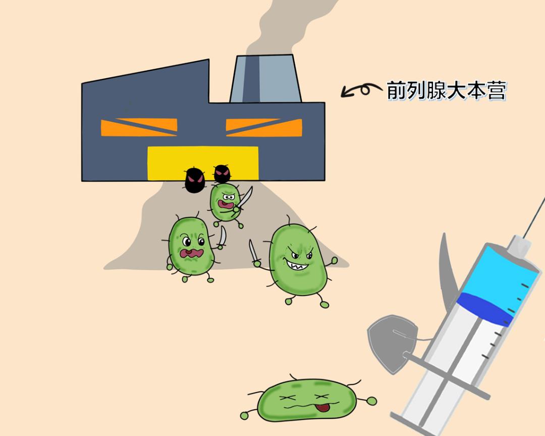 尿路感染一分钟就想上厕所怎么办,为什么尿路感染一到晚上就开始