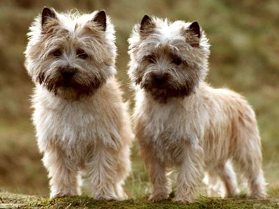 如何用photoshop抠图新手入门教程,photoshop快速抠图几种方法